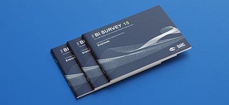 Entrinsik rated as a Leader in the BARC BI Survey 15