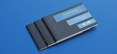 Entrinsik in the BARC BI Survey 17